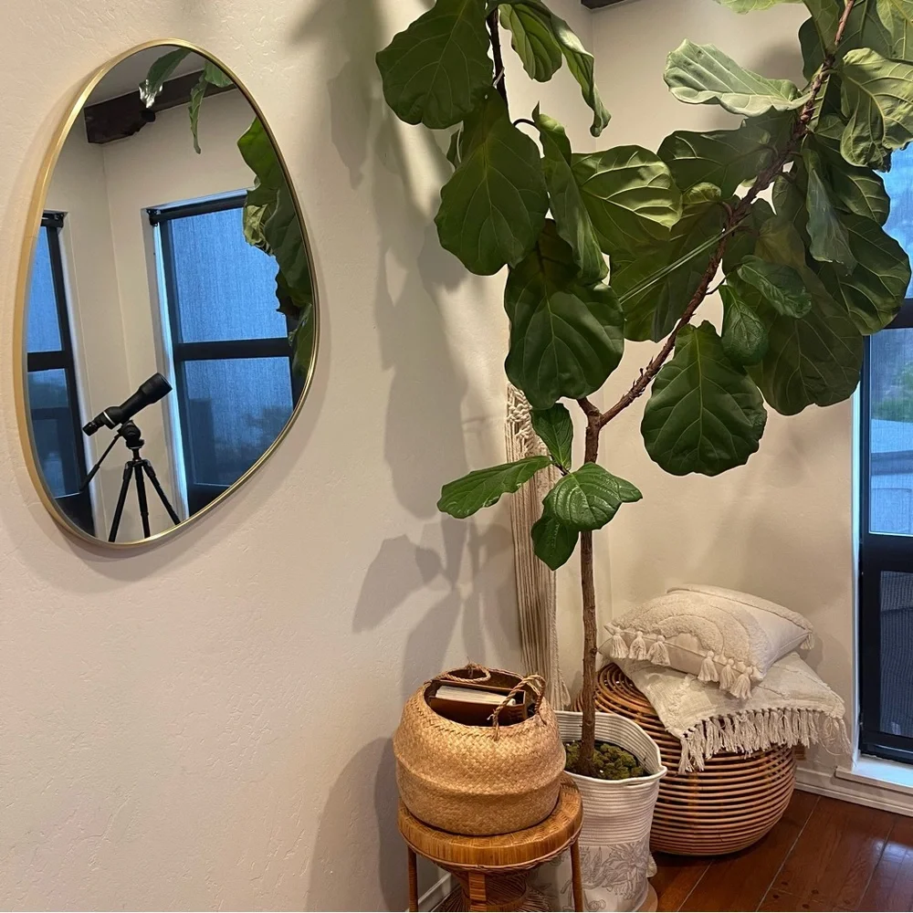 NEW West Elm XL Gold Asymmetrical Framed Mid-Century Modern Hanging Wall Mirror